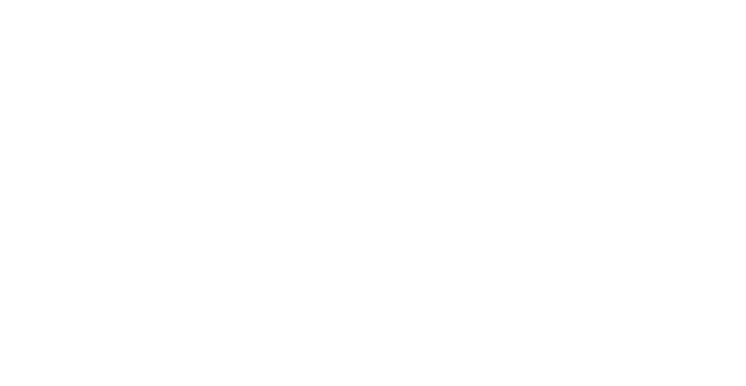 Zbra Logo 00
